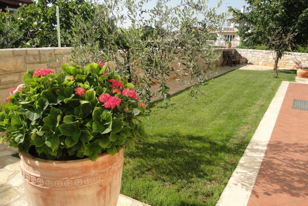 Apartments Villa Ela Umag Exterior foto